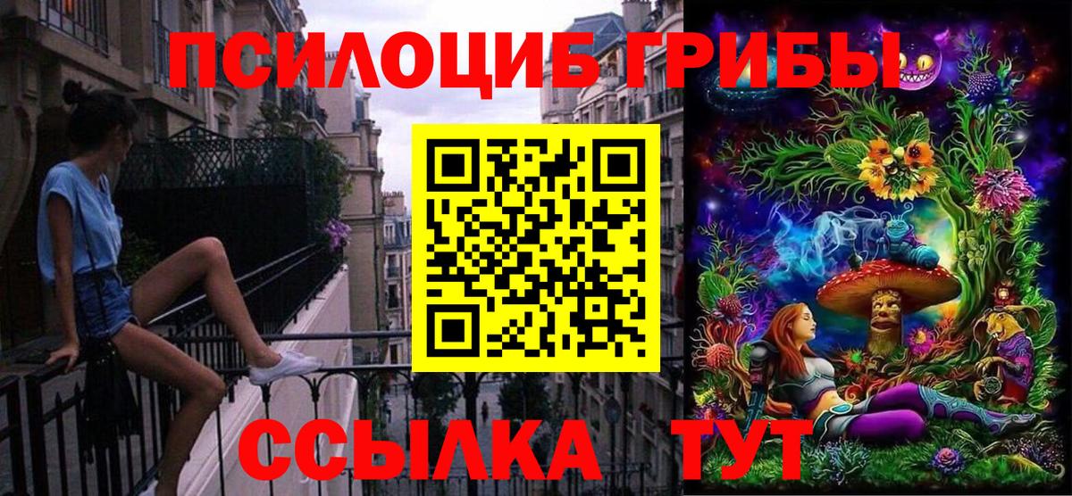 Рыбинск  Псилоцибиновые грибы GOLDEN TEACHER  как найти наркотики  Вход с VPN 