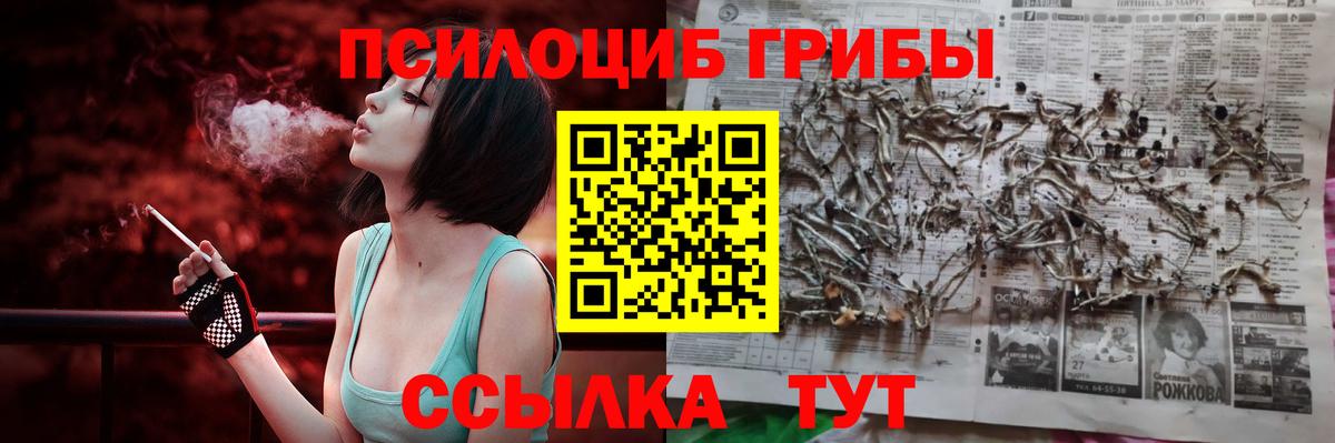 Галлюциногенные грибы Psilocybe Рыбинск